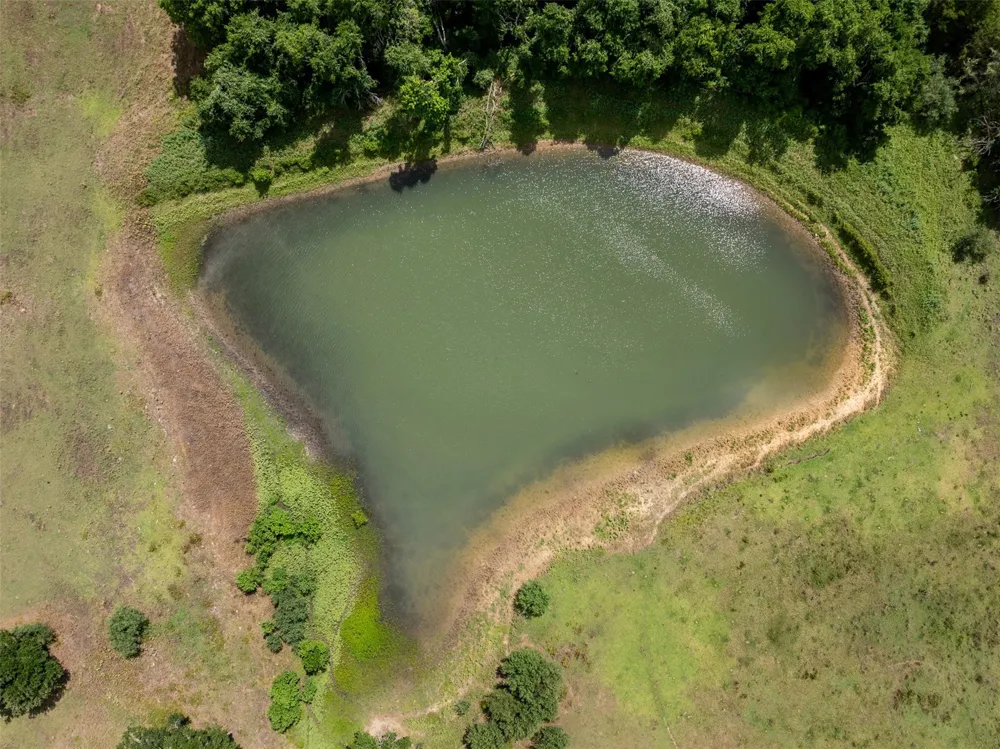 6550 Gibbs Creek Road Chappell Hill, TX 77426
