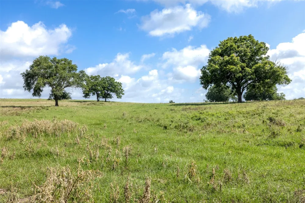 6550 Gibbs Creek Road Chappell Hill, TX 77426