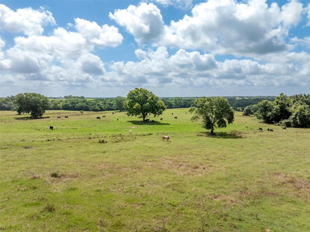 6550 Gibbs Creek Road Chappell Hill, TX 77426