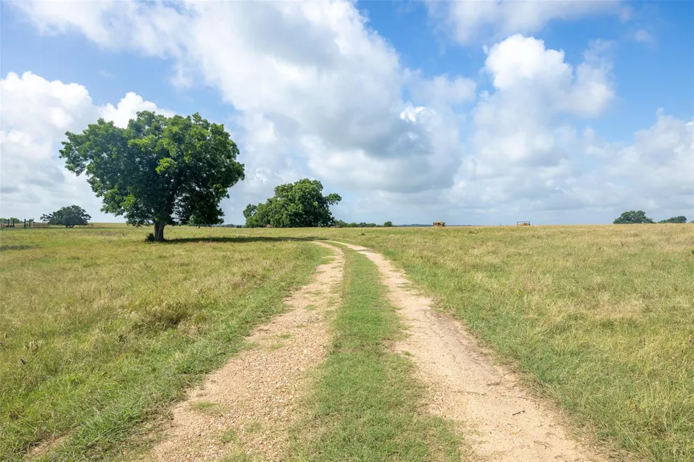 6550 Gibbs Creek Road Chappell Hill, TX 77426