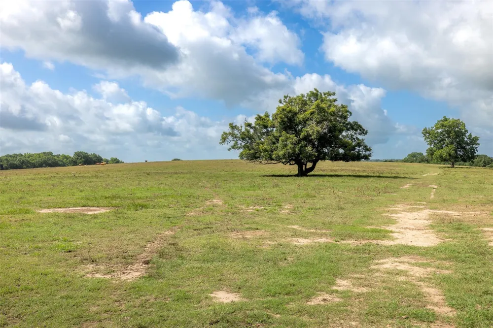 6550 Gibbs Creek Road Chappell Hill, TX 77426