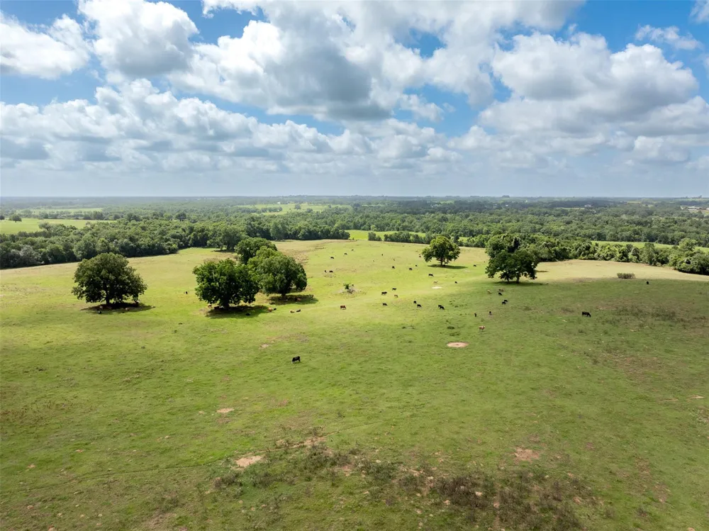 6550 Gibbs Creek Road Chappell Hill, TX 77426
