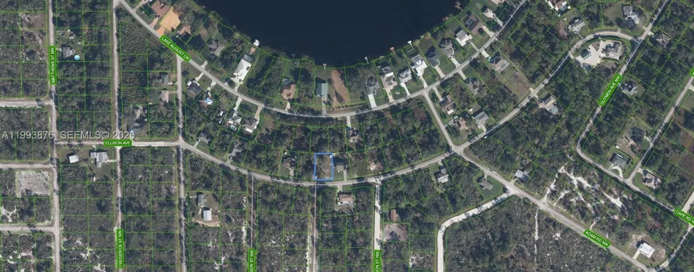 343 Ellison Ave Lake Placid, FL 33852