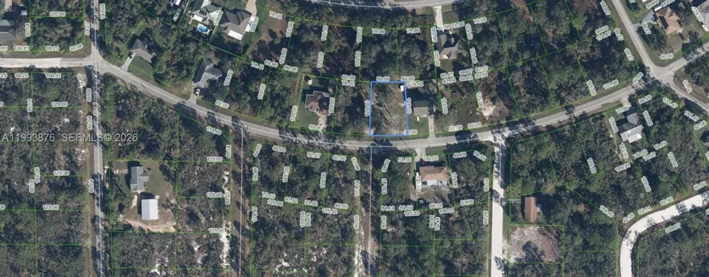 343 Ellison Ave Lake Placid, FL 33852