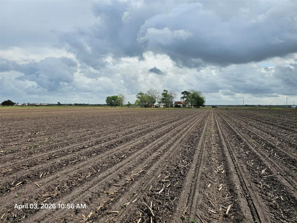 16442 County Road 268 East Bernard, TX 77435