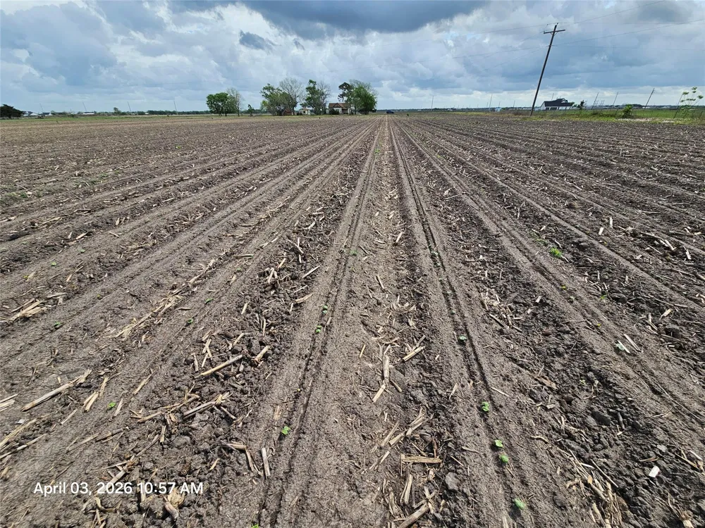16442 County Road 268 East Bernard, TX 77435