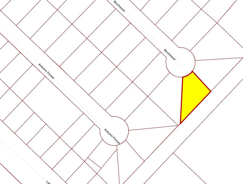 Birchmont Drive Guy, TX 77444