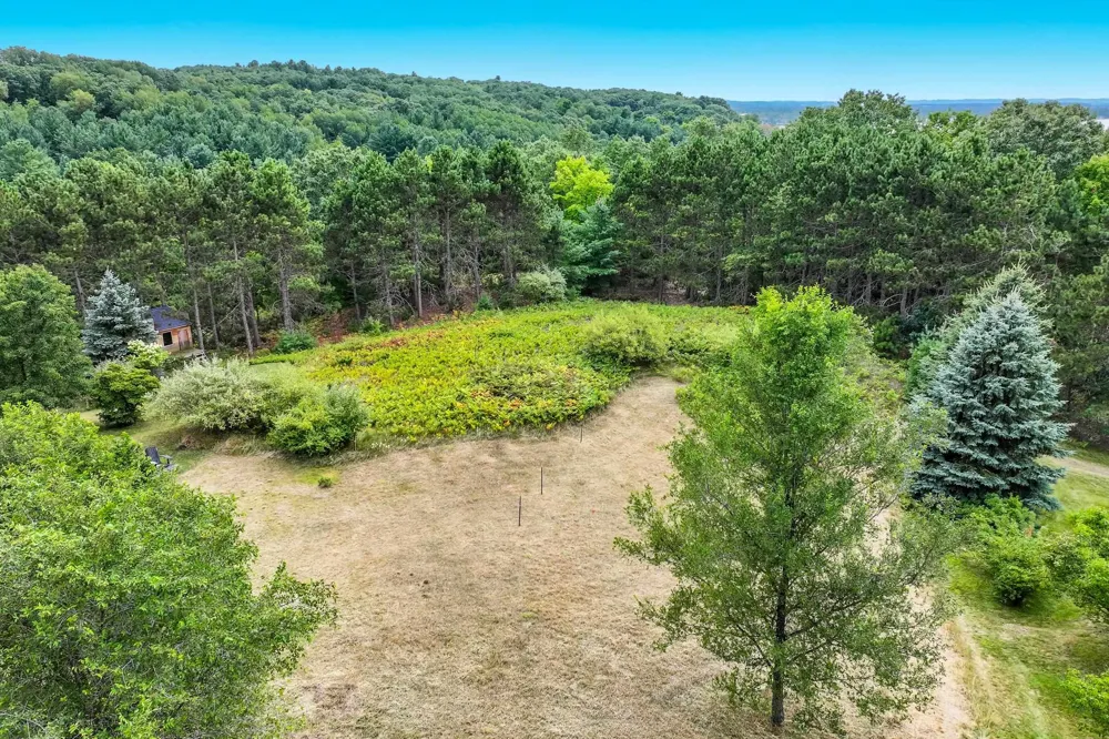3147 Scenic Hills Drive Acme Township, MI 49690