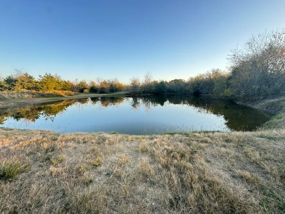 Lcr 476 Mexia, TX 76667