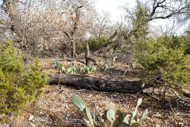 7 Whitetail Trail San Saba, TX 76877