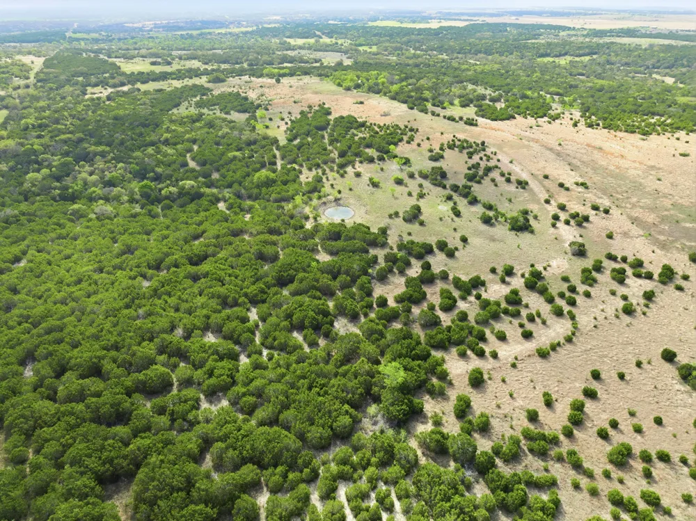 off cr 137 Gatesville, TX 76528