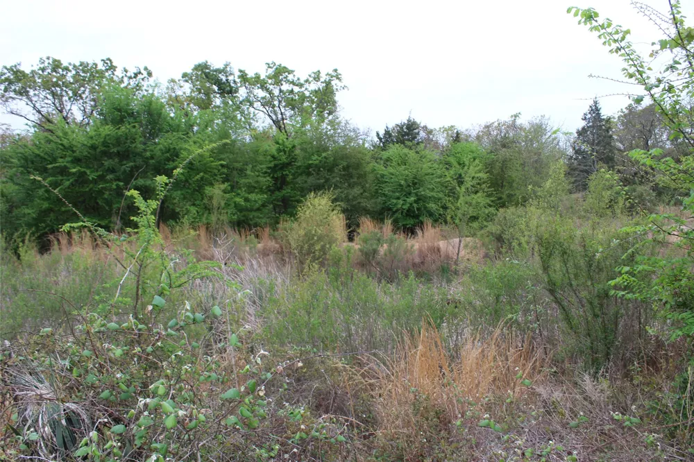 Cr-4600 Athens, TX 75752