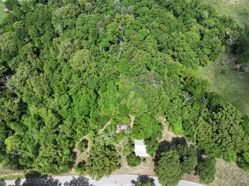 Cr-4600 Athens, TX 75752