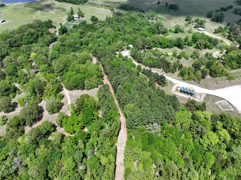 Cr-4600 Athens, TX 75752