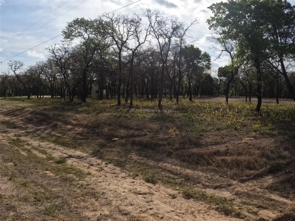 2113 Jeremy Street Tolar, TX 76476
