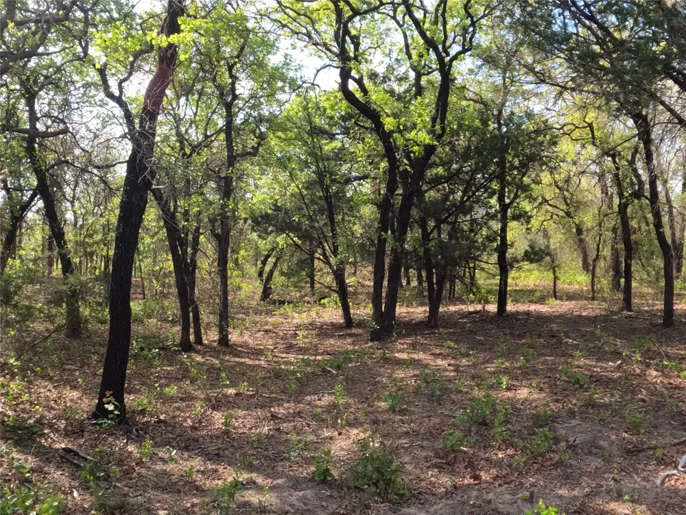 2113 Jeremy Street Tolar, TX 76476