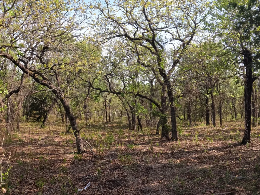 2113 Jeremy Street Tolar, TX 76476
