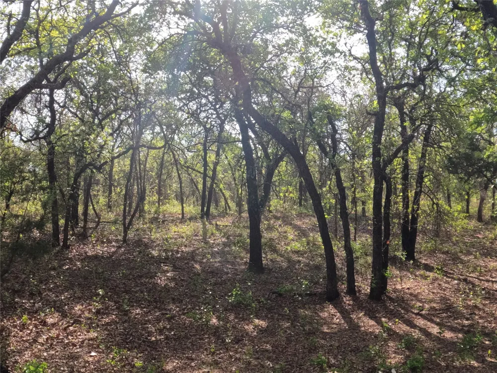 2113 Jeremy Street Tolar, TX 76476