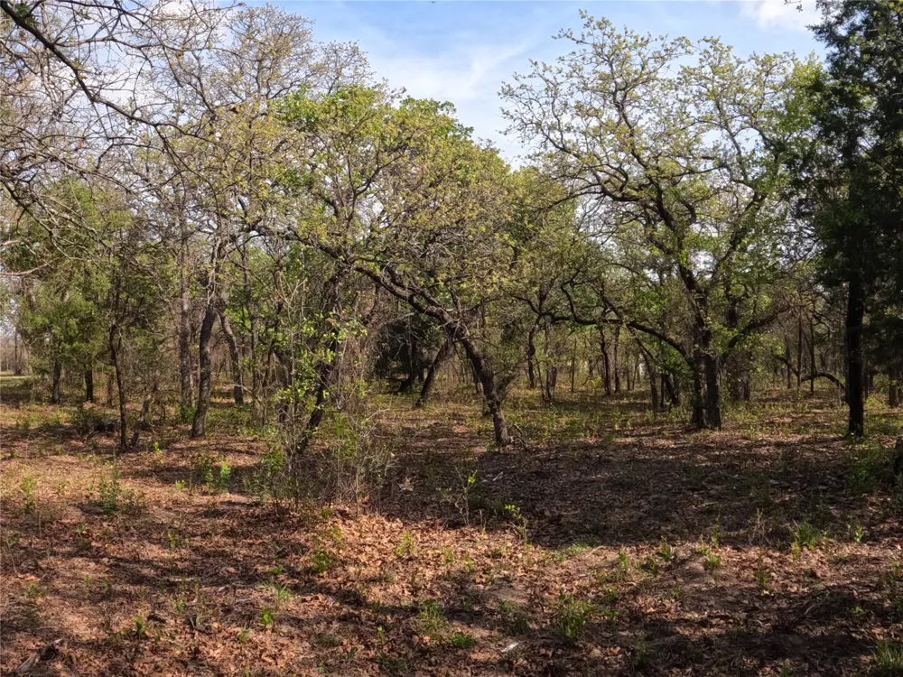 2113 Jeremy Street Tolar, TX 76476
