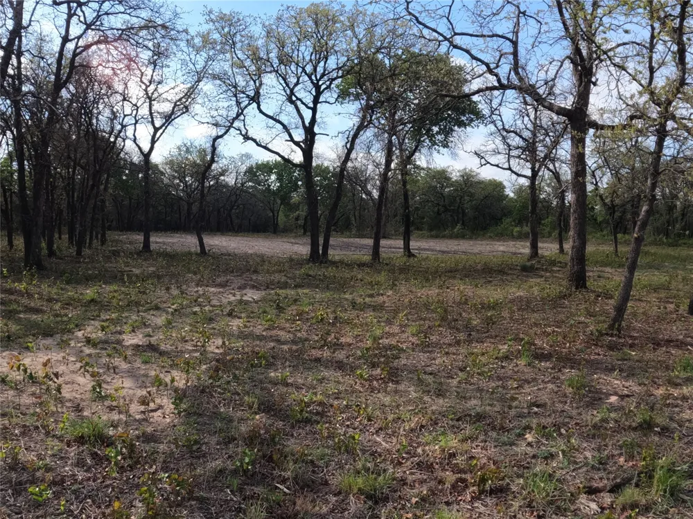 2113 Jeremy Street Tolar, TX 76476