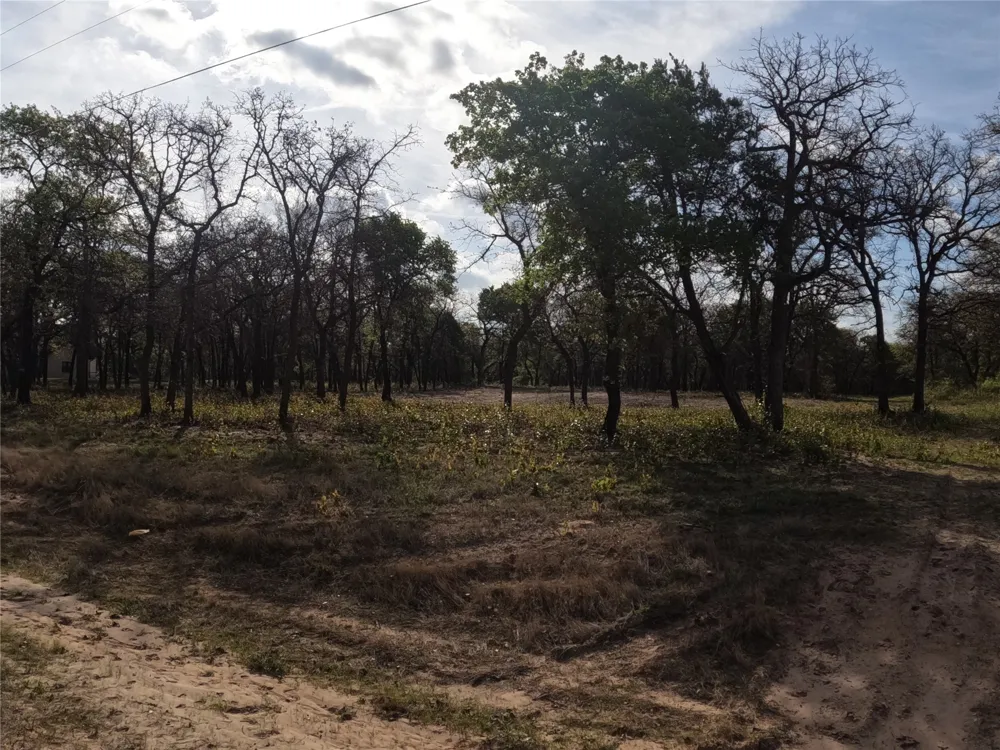 2113 Jeremy Street Tolar, TX 76476