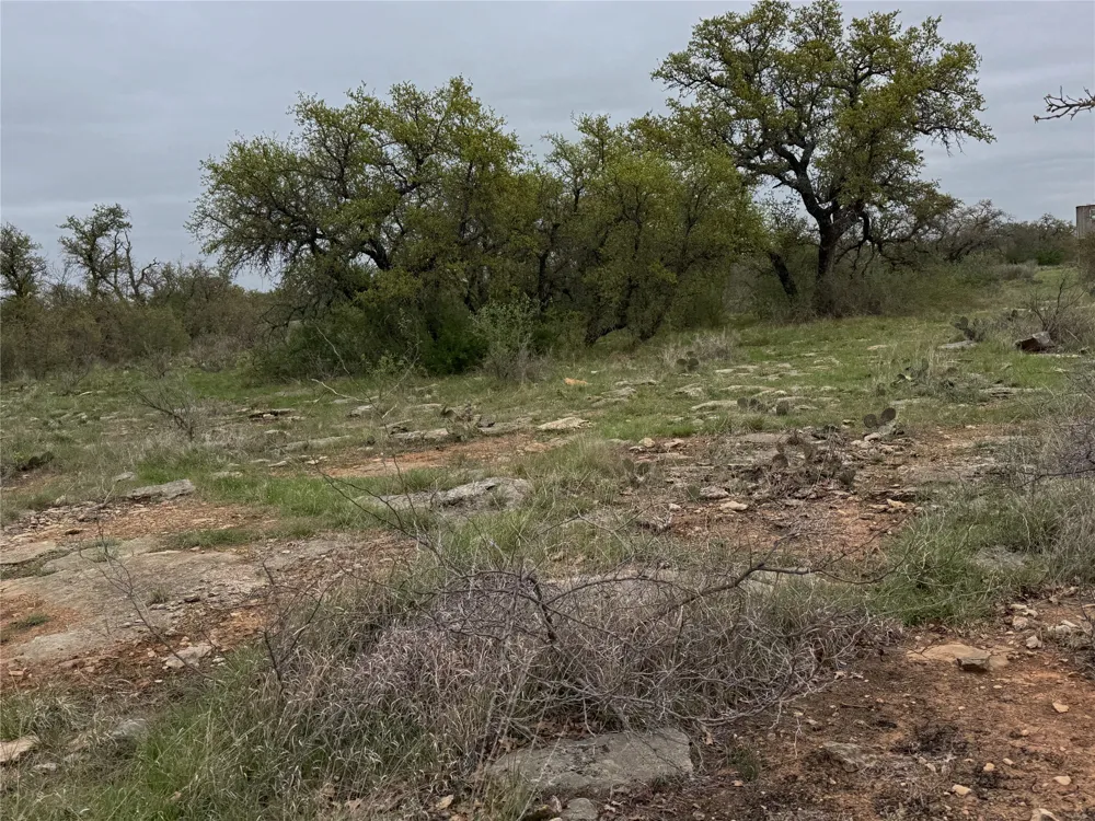 Co Rd 369 Carbon, TX 76435