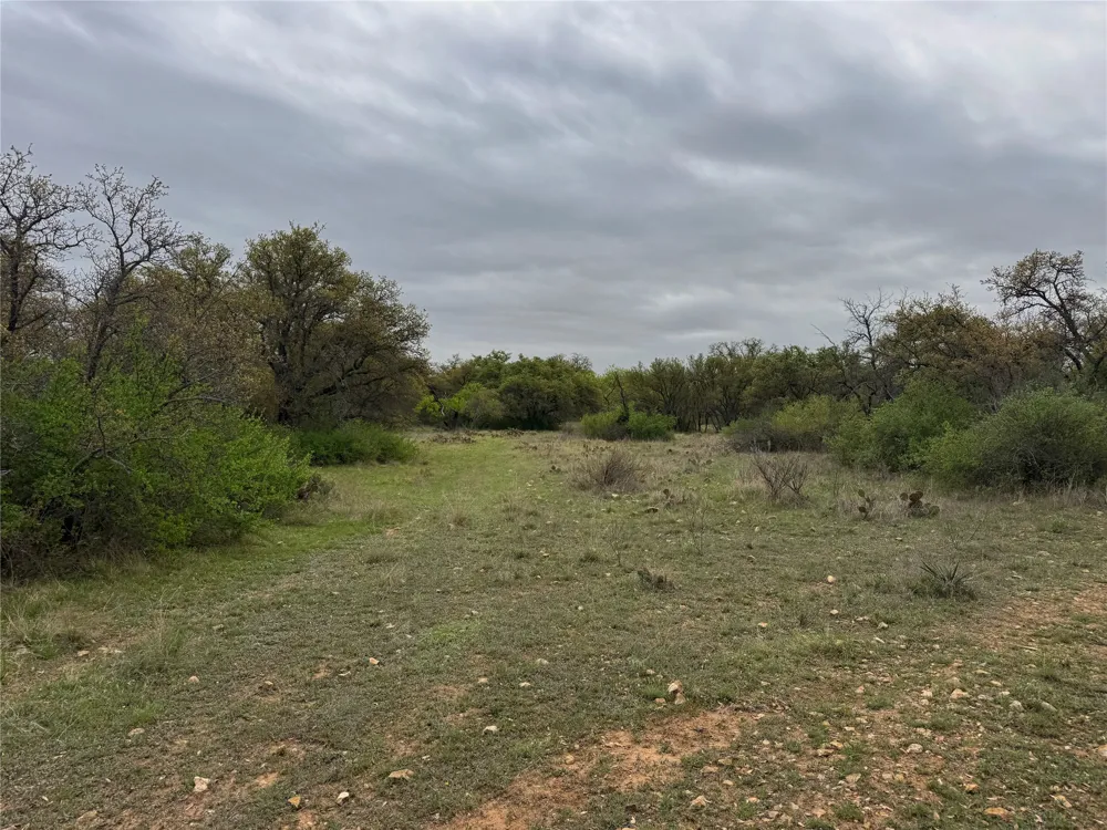 Co Rd 369 Carbon, TX 76435