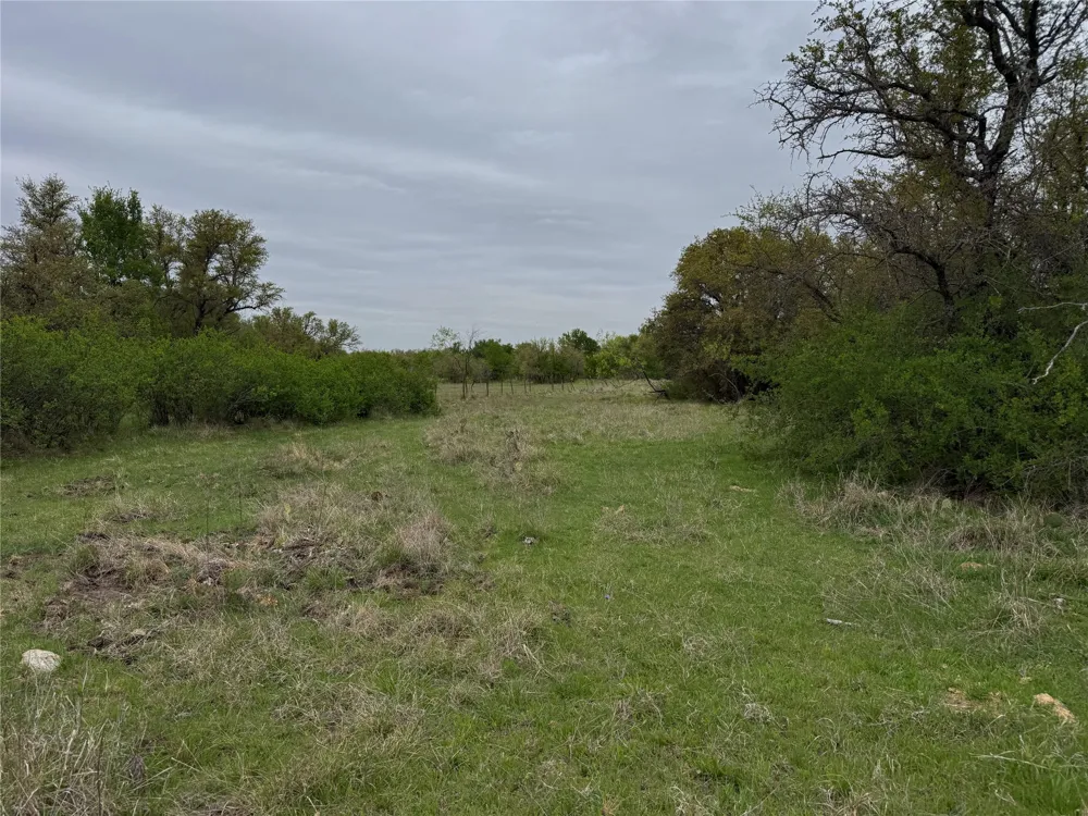 Co Rd 369 Carbon, TX 76435
