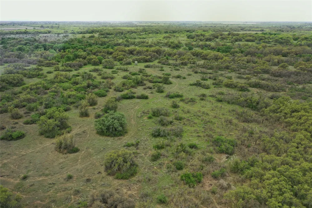 Co Rd 369 Carbon, TX 76435