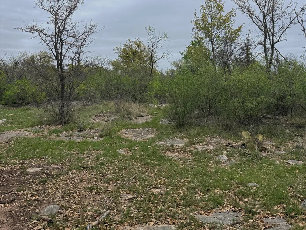 Co Rd 369 Carbon, TX 76435