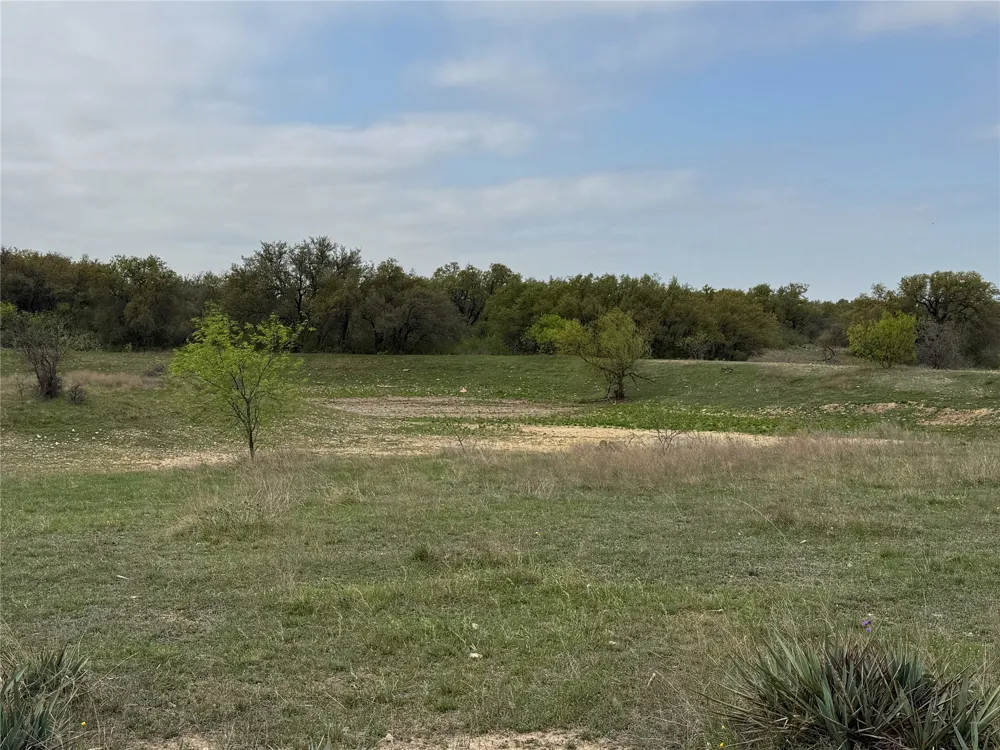 Co Rd 369 Carbon, TX 76435