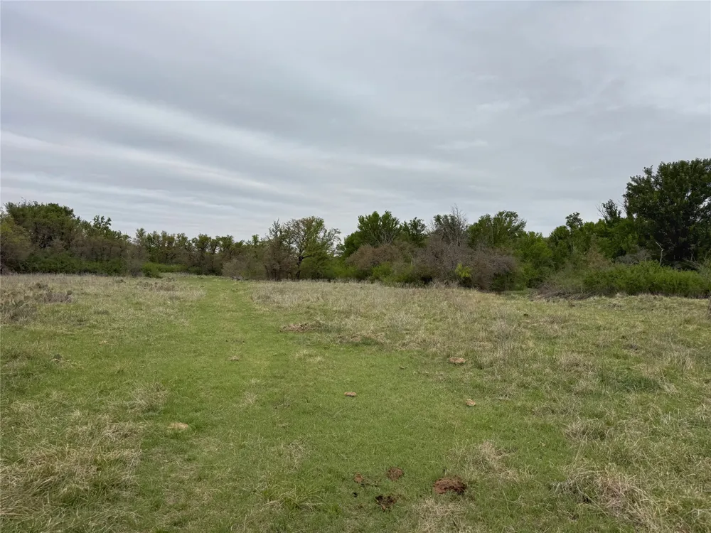 Co Rd 369 Carbon, TX 76435