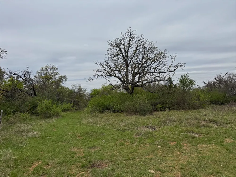 Co Rd 369 Carbon, TX 76435