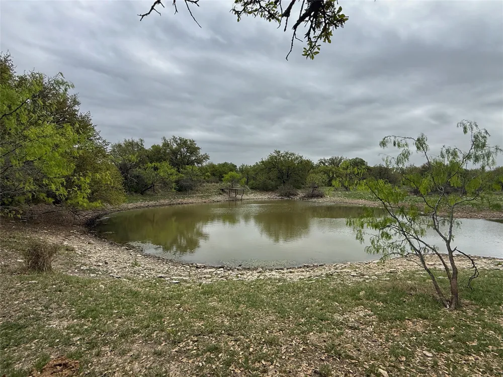 Co Rd 369 Carbon, TX 76435
