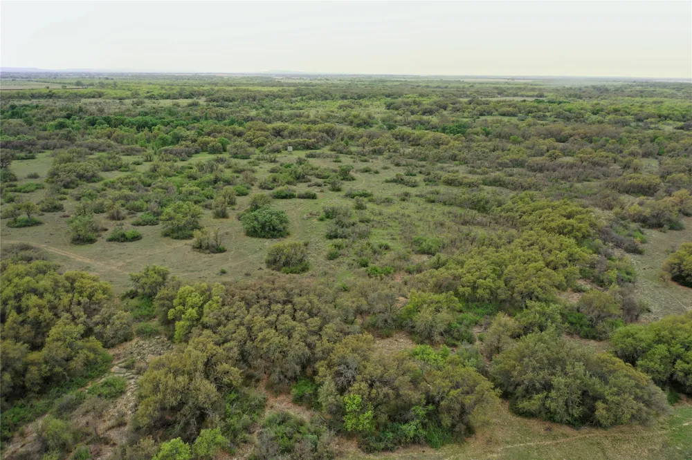 Co Rd 369 Carbon, TX 76435