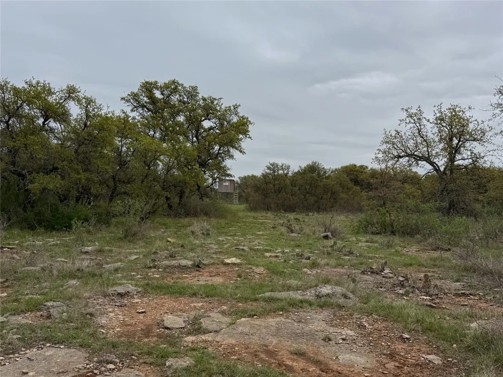 Co Rd 369 Carbon, TX 76435