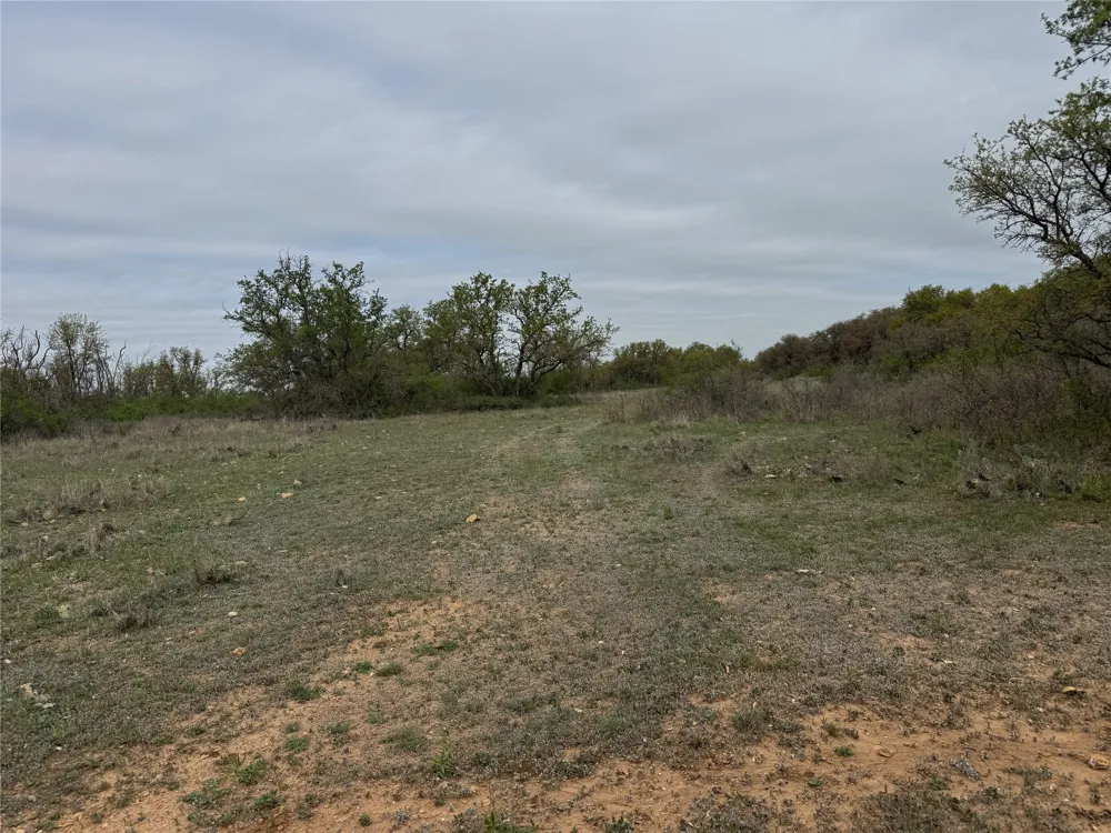 Co Rd 369 Carbon, TX 76435