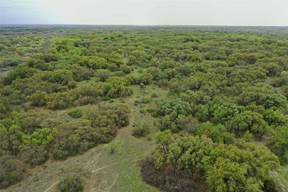 Co Rd 369 Carbon, TX 76435