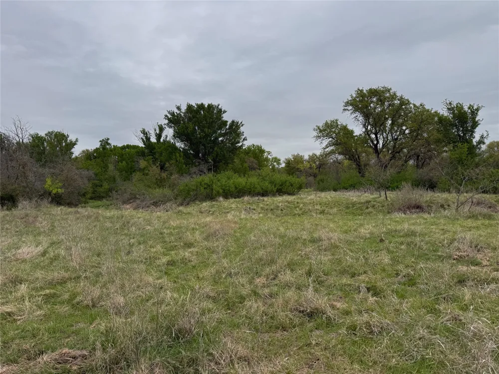 Co Rd 369 Carbon, TX 76435