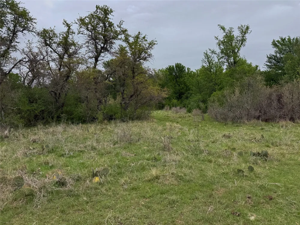Co Rd 369 Carbon, TX 76435