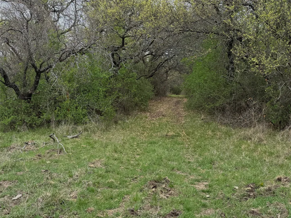 Co Rd 369 Carbon, TX 76435