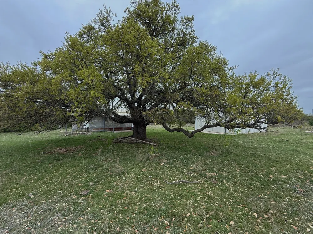 Co Rd 369 Carbon, TX 76435