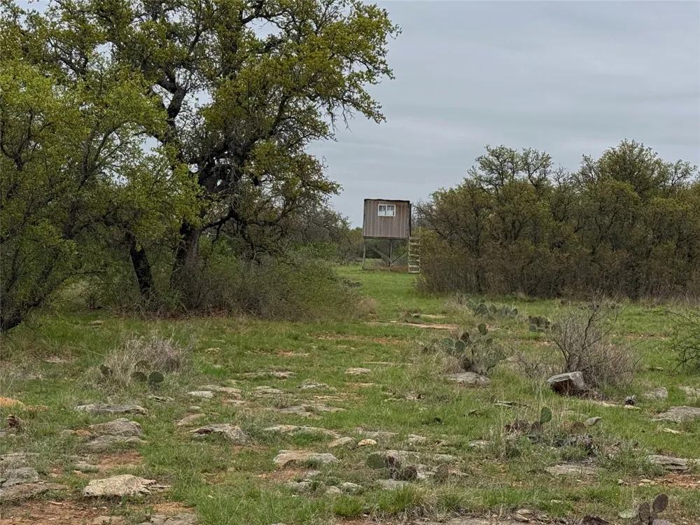 Co Rd 369 Carbon, TX 76435