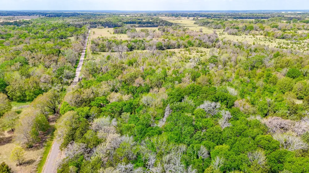 206 Fcr 960 Wortham, TX 76693