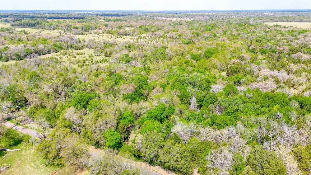 206 Fcr 960 Wortham, TX 76693