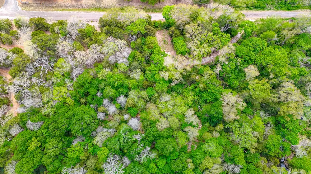 206 Fcr 960 Wortham, TX 76693