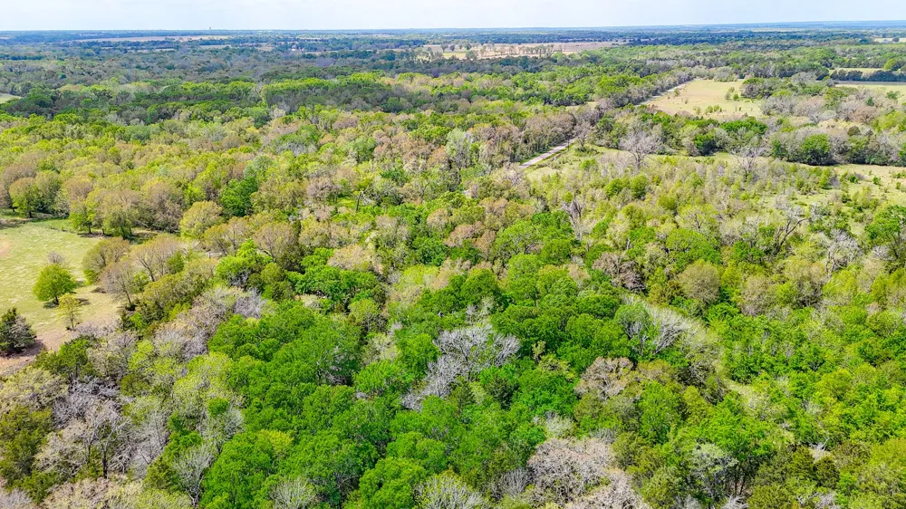 206 Fcr 960 Wortham, TX 76693