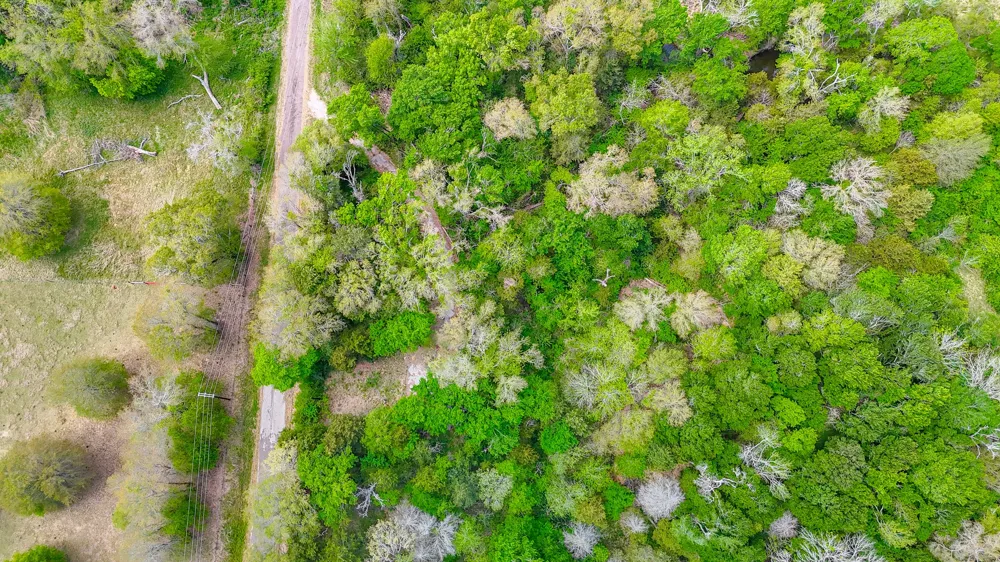206 Fcr 960 Wortham, TX 76693
