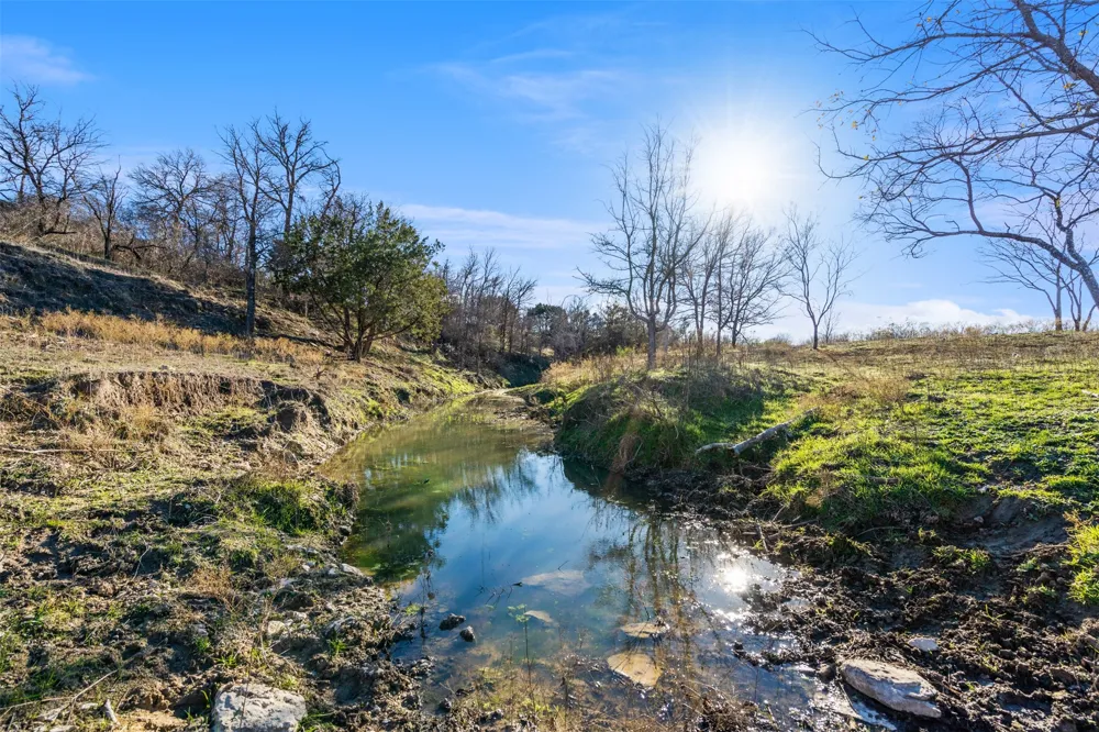 Whitetail Springs Lane Gustine, TX 76455