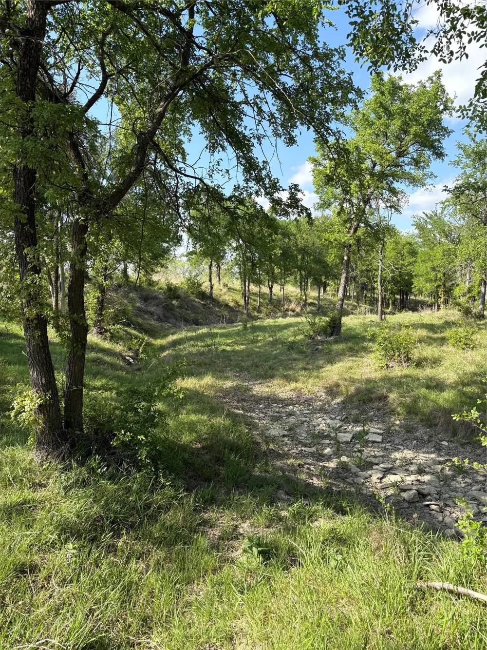 Whitetail Springs Lane Gustine, TX 76455